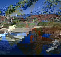 Palm Valley 4WD Tour - Hervey Bay Accommodation
