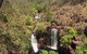 Small-Group Litchfield National Park Day Trip From Darwin - thumb 4