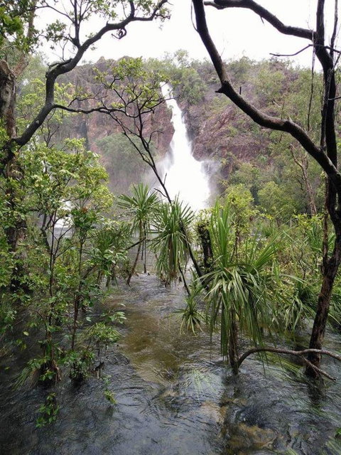 Small-Group Litchfield National Park Day Trip From Darwin - Tourism Hervey Bay 6