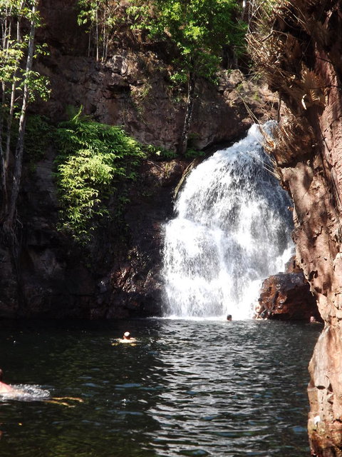 Small-Group Litchfield National Park Day Trip From Darwin - Tourism Hervey Bay 13