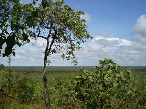 Small-Group Litchfield National Park Day Trip From Darwin - Tourism Hervey Bay 8