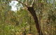 Small-Group Litchfield National Park Day Trip From Darwin - thumb 14