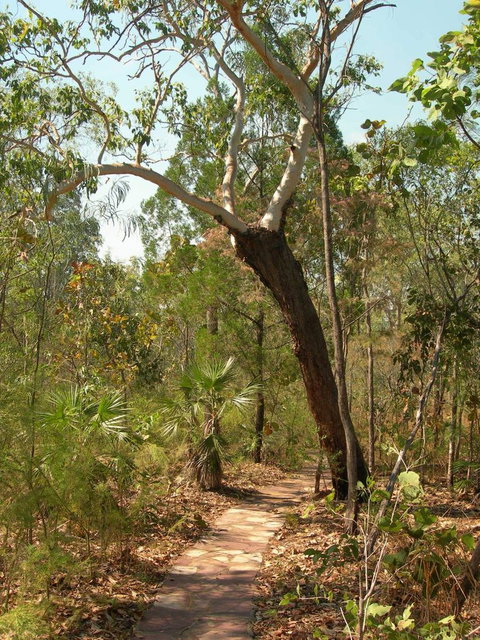 Small-Group Litchfield National Park Day Trip From Darwin - Tourism Hervey Bay 14