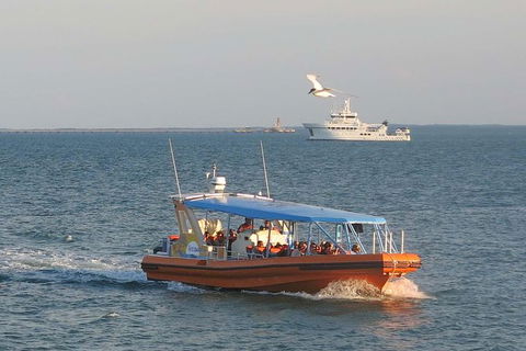 1-Hour Darwin Harbour Highlights Cruise - Hervey Bay Accommodation 0