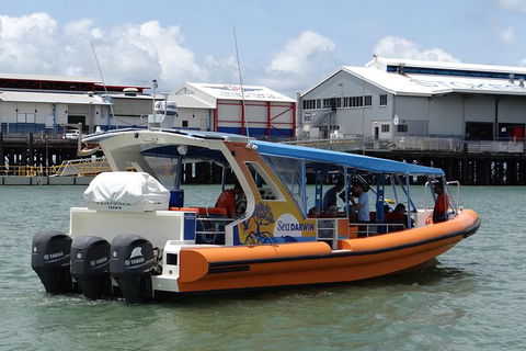 1-Hour Darwin Harbour Highlights Cruise - Hervey Bay Accommodation 4