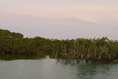 1-Hour Darwin Harbour Highlights Cruise - Hervey Bay Accommodation 7