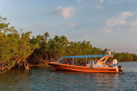 1-Hour Darwin Harbour Highlights Cruise - Hervey Bay Accommodation 3