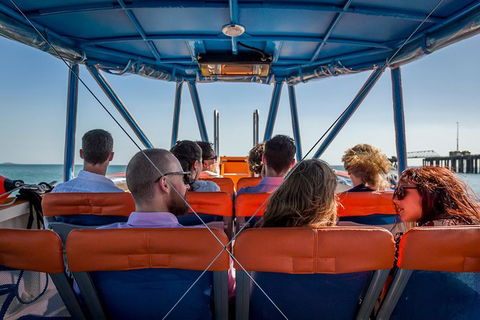 1-Hour Darwin Harbour Highlights Cruise - Hervey Bay Accommodation 6