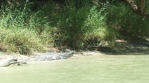 3-Day Kakadu National Park And Waterfalls Tour From Darwin - Tourism Hervey Bay 2