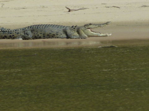 3-Day Kakadu National Park And Waterfalls Tour From Darwin - Tourism Hervey Bay 4