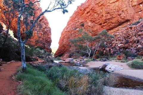 Half Day MacDonnell Ranges Small Group - Private Guided Tour - Hervey Bay Accommodation 0