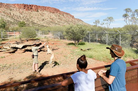 Alice Springs Desert Park General Entry Ticket - Hervey Bay Accommodation 9