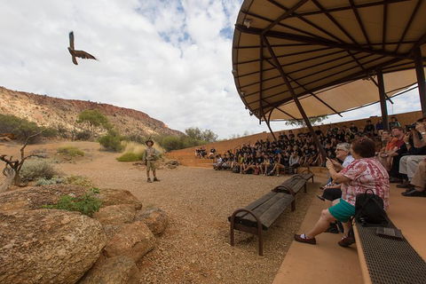 Alice Springs Desert Park General Entry Ticket - Hervey Bay Accommodation 5