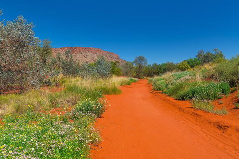 Alice Springs Desert Park General Entry Ticket - Hervey Bay Accommodation 7