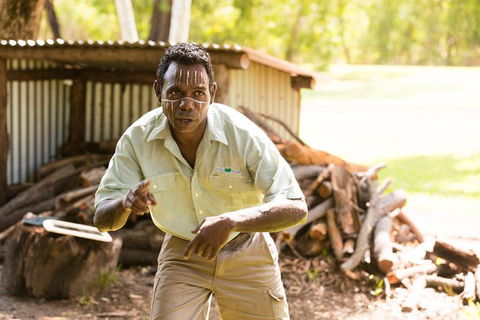 Tiwi Islands Cultural Experience From Darwin Including Ferry - Tourism Hervey Bay 5