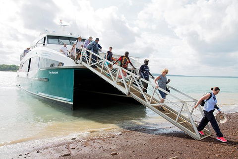 Tiwi Islands Cultural Experience From Darwin Including Ferry - Tourism Hervey Bay 9