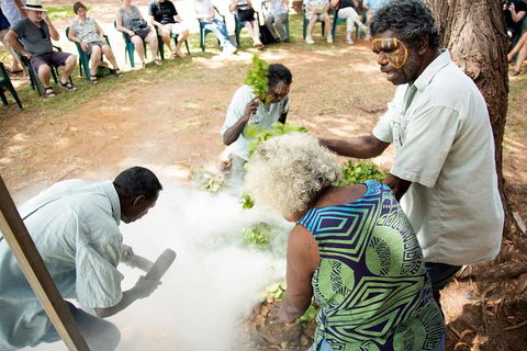 Tiwi Islands Cultural Experience From Darwin Including Ferry - Tourism Hervey Bay 10
