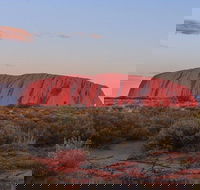 3-Day Uluru Camping Tour from Alice Springs Including Kata Tjuta and Kings Canyon - Hervey Bay Accommodation