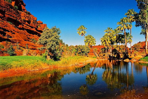 Palm Valley 4WD Day Tour - Hervey Bay Accommodation 0