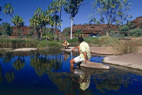Palm Valley 4WD Day Tour - Hervey Bay Accommodation 3