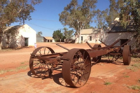Palm Valley 4WD Day Tour - Hervey Bay Accommodation 2