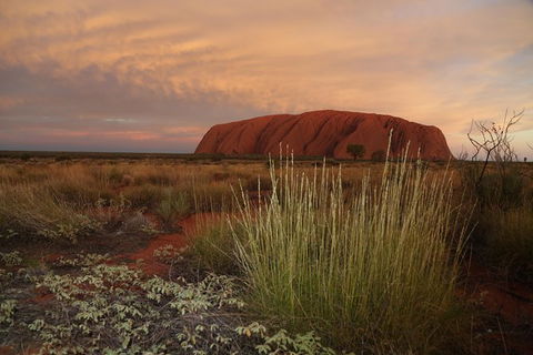 Coach Transfer From Kings Canyon Resort To Ayers Rock Resort - Hervey Bay Accommodation 7