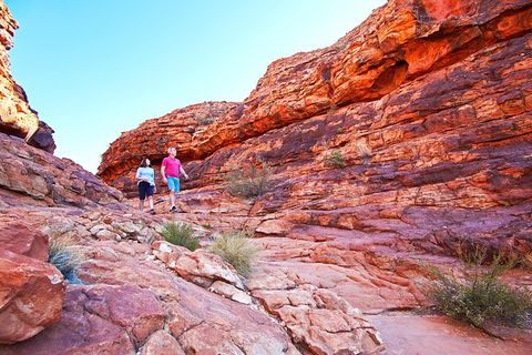 Coach Transfer From Kings Canyon Resort To Ayers Rock Resort - Hervey Bay Accommodation 6