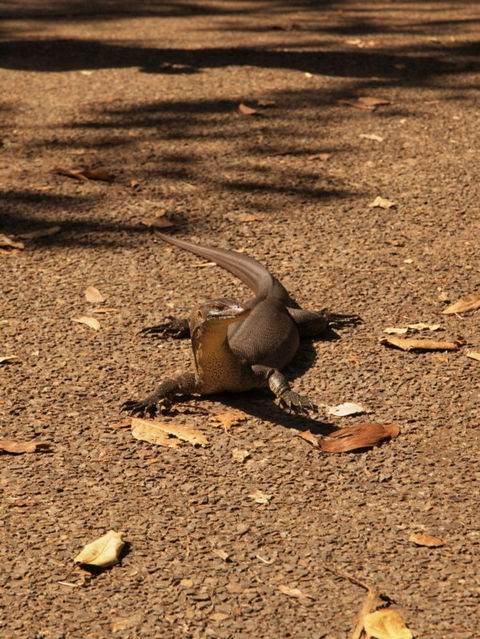 Katherine Day Tour From Darwin Including Katherine Gorge Cruise - Tourism Hervey Bay 9
