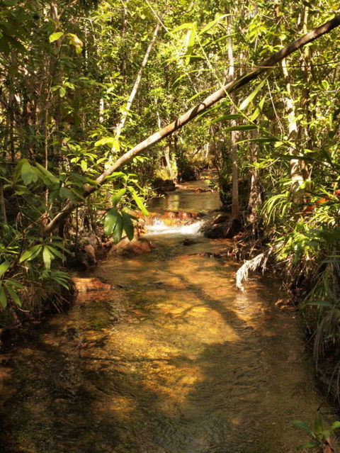 Katherine Day Tour From Darwin Including Katherine Gorge Cruise - Tourism Hervey Bay 10