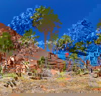 Palm Valley 4WD Tour from Alice Springs - Hervey Bay Accommodation