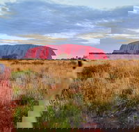 2-Day Uluru Ayers Rock National Park Explorer Trip from Alice Springs - Hervey Bay Accommodation