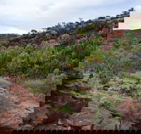 Palm Valley and Hermannsburg 1 Day 4WD Tour - Hervey Bay Accommodation