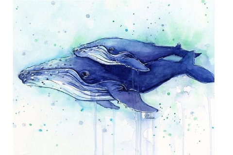 A Day At Sea - Six Tanks 3.00-5.00pm - Hervey Bay Accommodation 0