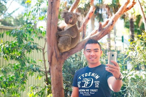 All Inclusive Full-Day Blue Mountains Trip From Sydney - Hervey Bay Accommodation 1