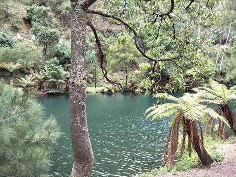 Jenolan Caves And Blue Mountains Tour From Sydney - Hervey Bay Accommodation 2