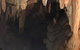 Jenolan Caves And Blue Mountains Tour From Sydney - thumb 12
