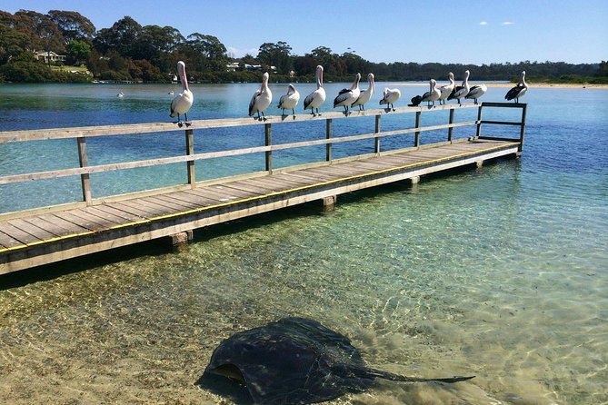  Hervey Bay Accommodation