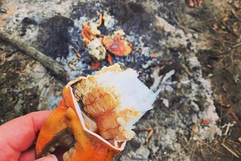 Pot To Plate Adventure - Hervey Bay Accommodation 4