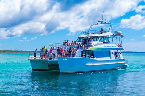 Jervis Bay Whale Watching Tour - Hervey Bay Accommodation 2