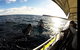 Jervis Bay Whale Watching Tour - thumb 3