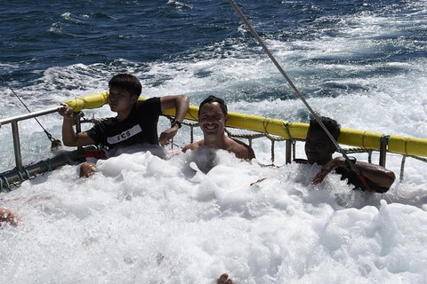 Jervis Bay Boom Netting And Dolphins Tour - Hervey Bay Accommodation 9