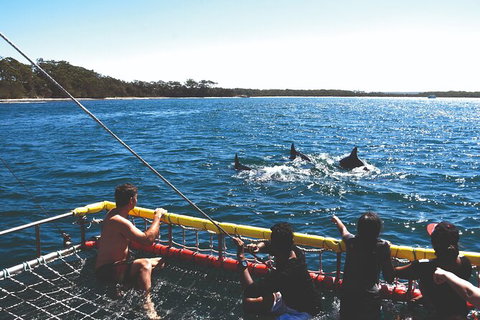 Jervis Bay Boom Netting And Dolphins Tour - Hervey Bay Accommodation 2