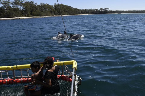 Jervis Bay Boom Netting And Dolphins Tour - Hervey Bay Accommodation 6