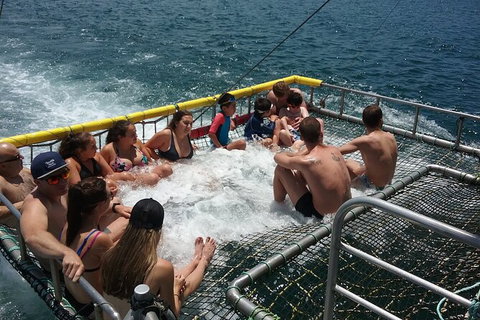 Jervis Bay Boom Netting And Dolphins Tour - Hervey Bay Accommodation 4