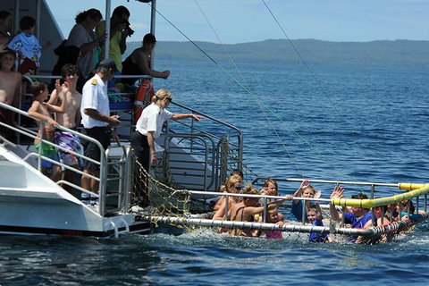 Jervis Bay Boom Netting And Dolphins Tour - Hervey Bay Accommodation 5