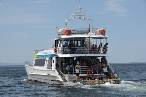 Jervis Bay Boom Netting And Dolphins Tour - Hervey Bay Accommodation 12