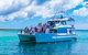 Jervis Bay Boom Netting And Dolphins Tour - thumb 3