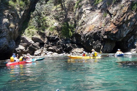 Batemans Bay Glass-Bottom Kayak Tour Over 2 Relaxing Hours - Hervey Bay Accommodation 1