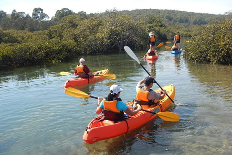 Batemans Bay Glass-Bottom Kayak Tour Over 2 Relaxing Hours - Hervey Bay Accommodation 4