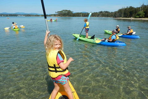 Batemans Bay Glass-Bottom Kayak Tour Over 2 Relaxing Hours - Hervey Bay Accommodation 2